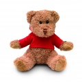 Teddybär mit Hoody, Rot