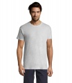 REGENT Uni T-Shirt 150g, Asche