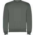 Clasica Sweatshirt mit Rundhalsausschnitt für Kinder, Lorbeergrün