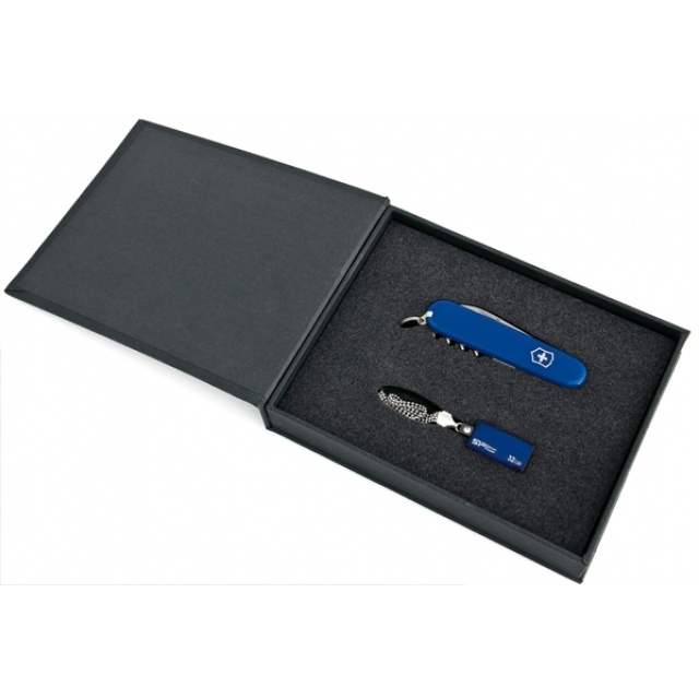 Logo trade promotional gift photo of: Elegant giftset in blue colour  8GB	color blue