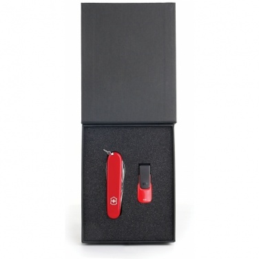 Logo trade promotional merchandise picture of: Gift set   8GB color red