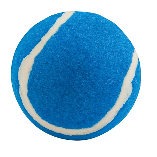 Logotrade promotional item picture of: ball for dogs AP731417-06 blue