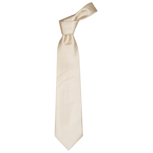 Logotrade promotional items photo of: Necktie color white