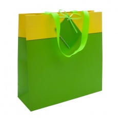 Gift bag, green/yellow