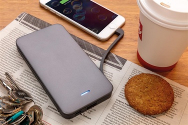 Logotrade promotional product picture of: 10.000 mAh MFi licensed powerbank , silver
