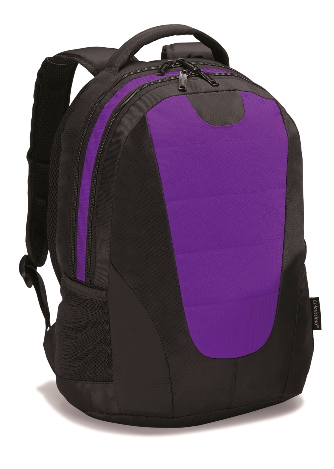 Logotrade promotional merchandise photo of: COLORISSIMO LAPTOP  BACKPACK 14’, purple