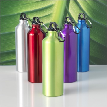 Logotrade promotional products photo of: Oregon 770 ml aluminium water bottle with carabiner