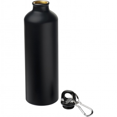 Logotrade promotional merchandise picture of: Oregon 770 ml matte water bottle with carabiner