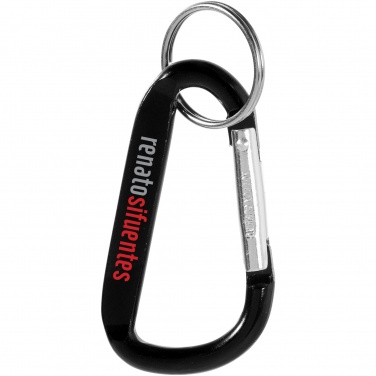 Logotrade promotional merchandise picture of: Timor carabiner keychain