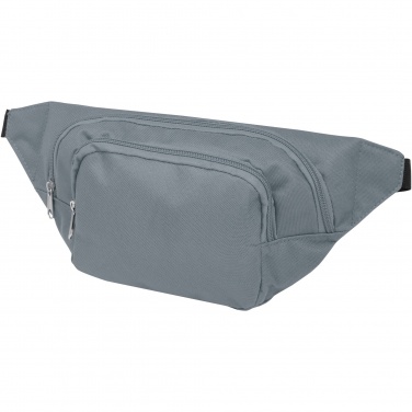 Logotrade promotional item picture of: Santander fanny pack with two compartments