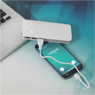 Logo trade promotional items picture of: Spare 10.000 mAh power bank