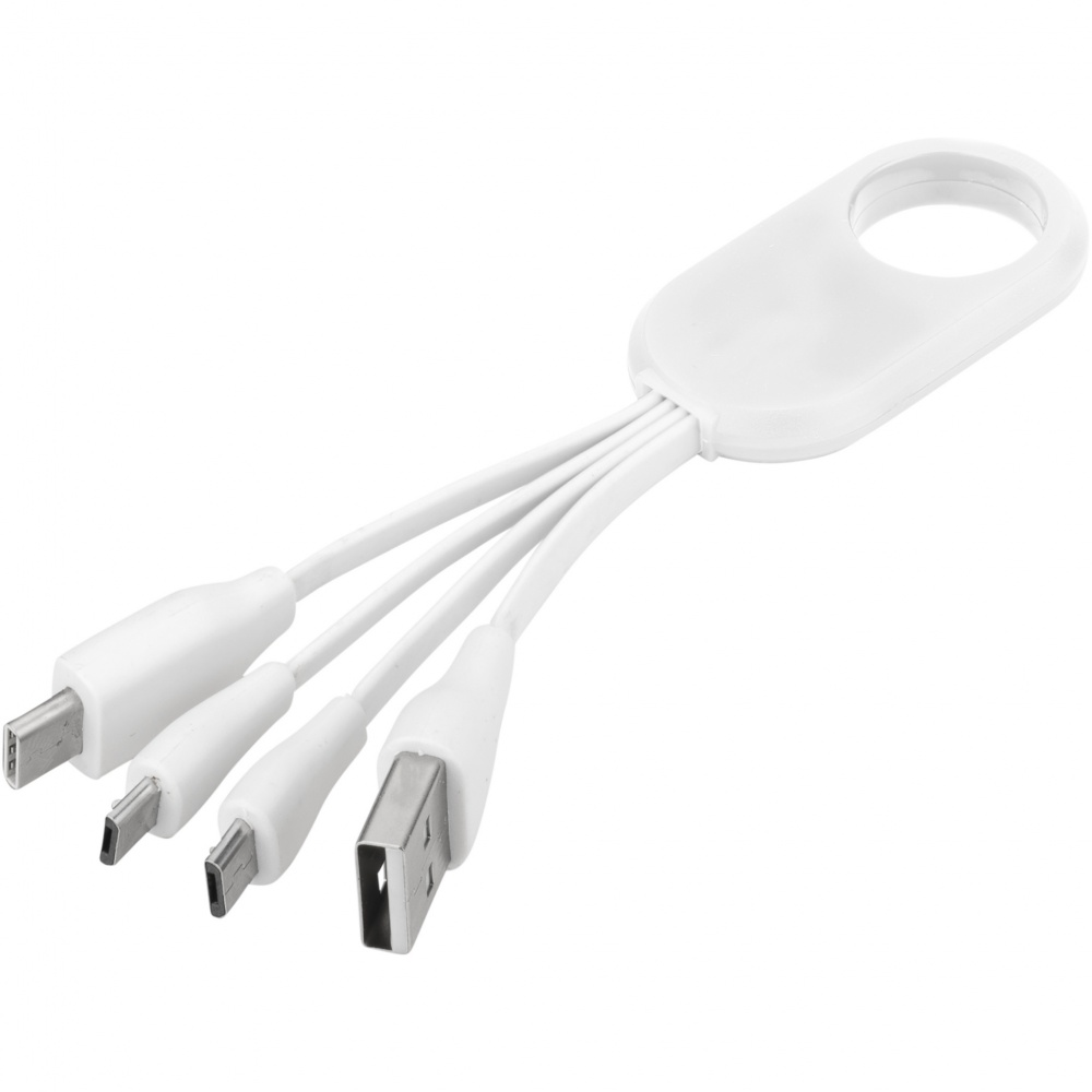 Logotrade promotional gift image of: Troup 4-in-1 charging cable with type-C tip