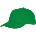 Ares 6 panel cap, Fern green