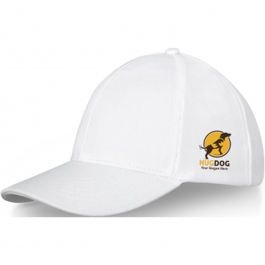 Logo trade promotional products image of: Drake 6 panel trucker cap