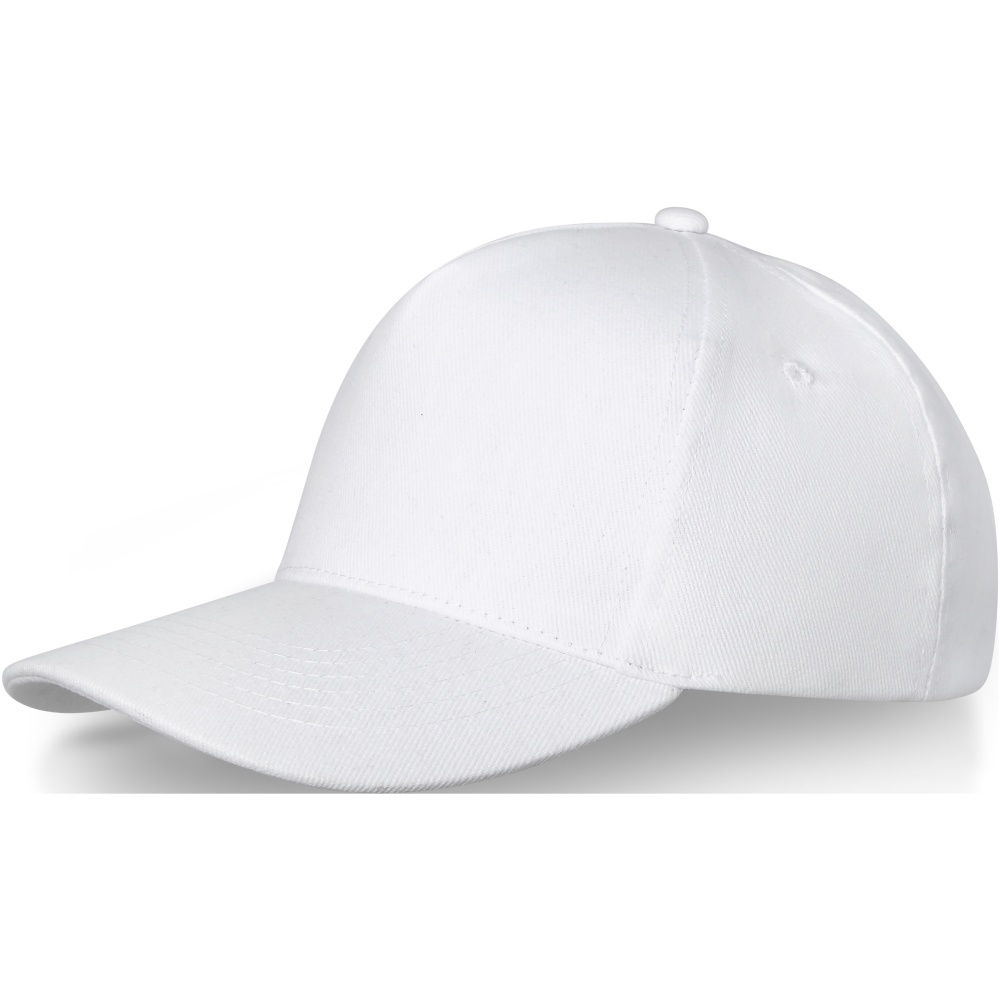 Logotrade promotional merchandise photo of: Doyle 5 panel cap