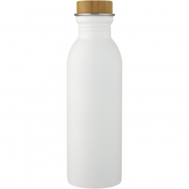 Logo trade promotional merchandise photo of: Kalix 650 ml stainless steel water bottle