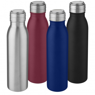 Logotrade advertising product image of: Harper 700 ml stainless steel water bottle with metal loop