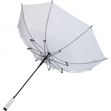 Logotrade promotional merchandise picture of: Niel 23" auto open recycled PET umbrella