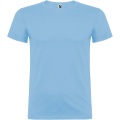 Beagle short sleeve men's t-shirt, Sky blue