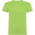 Beagle short sleeve men's t-shirt, Oasis Green