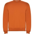 Clasica unisex crewneck sweater, Orange