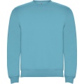 Clasica unisex crewneck sweater, Turquois