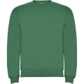 Clasica unisex crewneck sweater, Kelly Green