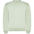 Clasica unisex crewneck sweater, Mist Green