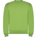 Clasica kids crewneck sweater, Oasis Green