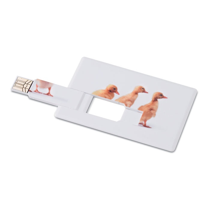 Logotrade promotional gift picture of: Creditcard. USB flash 4GB