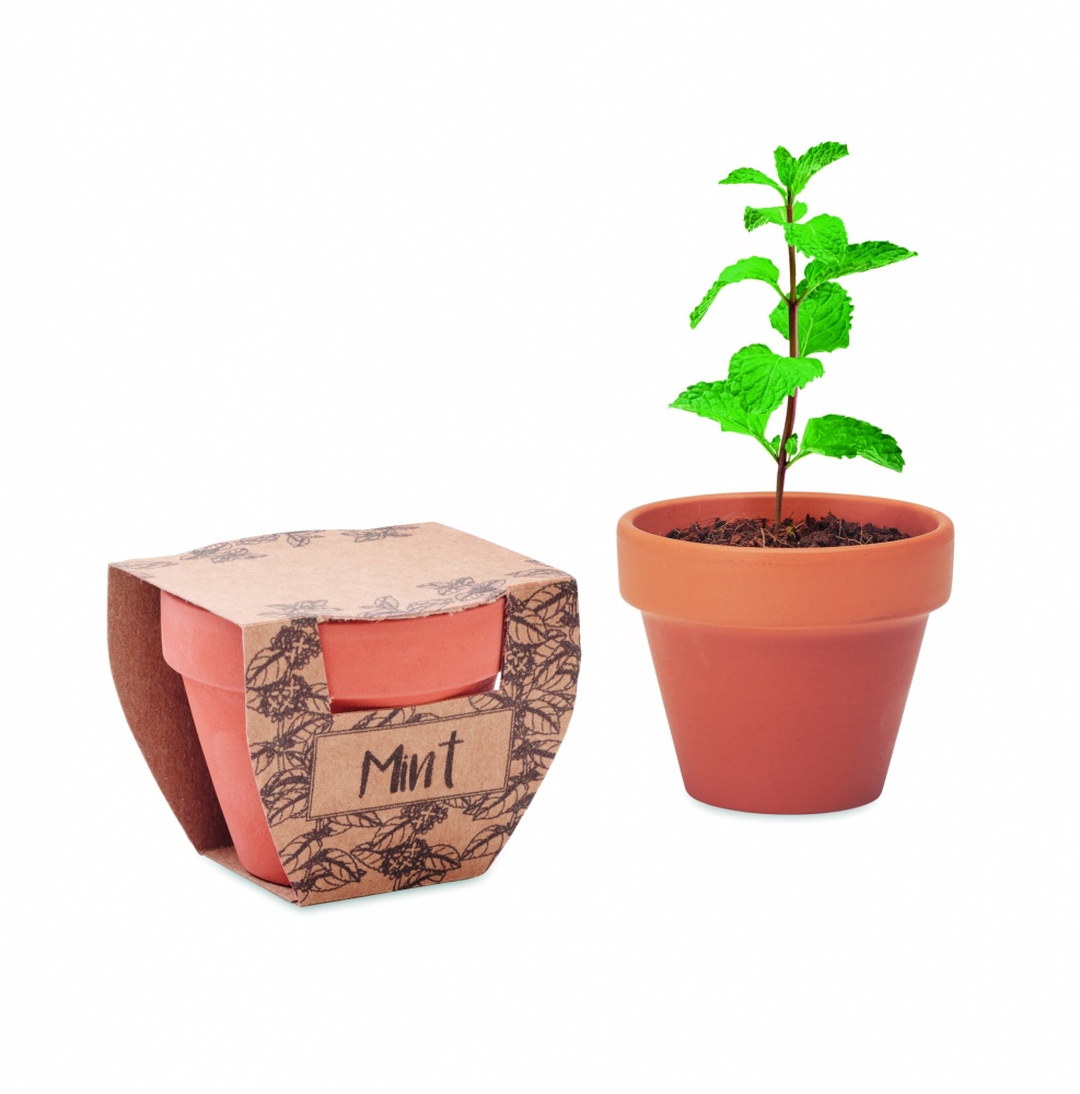 Logotrade business gifts photo of: Terracotta pot mint seeds