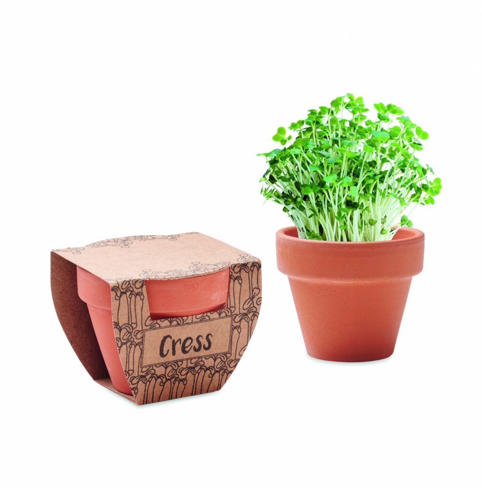 Logotrade promotional product picture of: Terracotta pot cress seeds