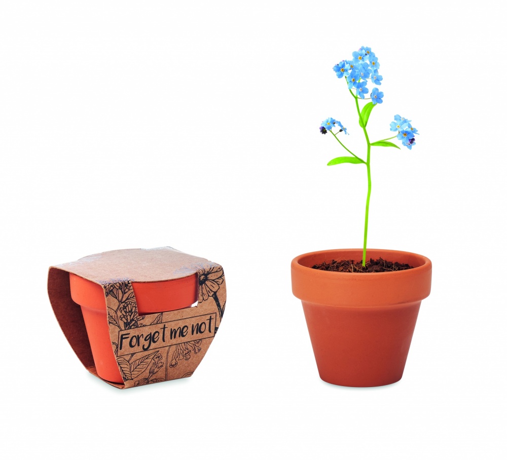 Logotrade promotional giveaways photo of: Terracotta pot 'forget me not'