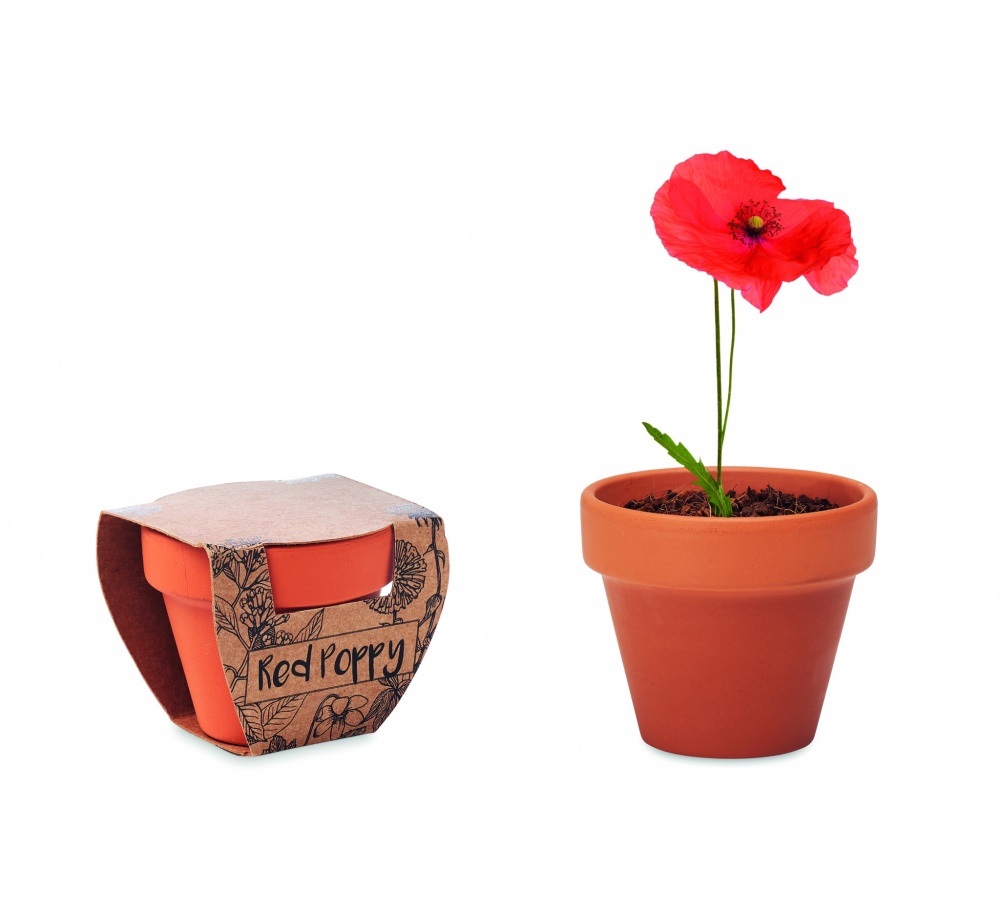 Logotrade promotional giveaway image of: Terracotta pot 'poppy'