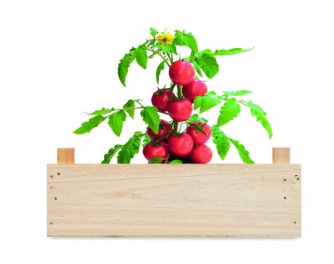 Logotrade corporate gift image of: Tomato kit in wooden crate