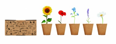 Logotrade promotional item image of: Flowers growing kit