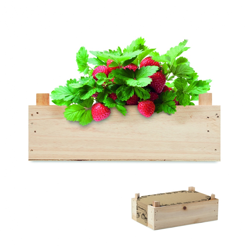 Logo trade advertising product photo of: Strawberry kit in wooden crate