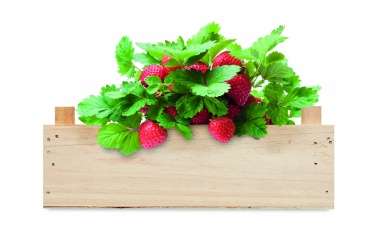 Logo trade advertising products image of: Strawberry kit in wooden crate