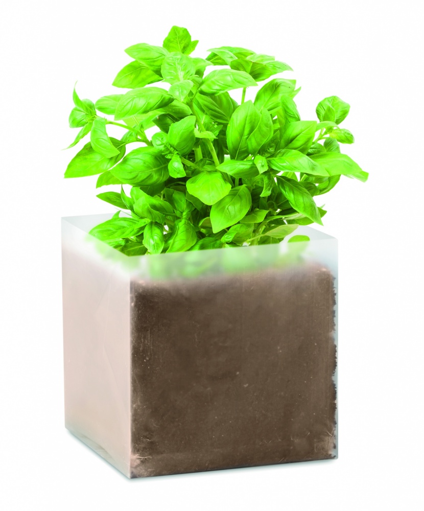 Logotrade promotional item picture of: Compost with seeds "BASIL"