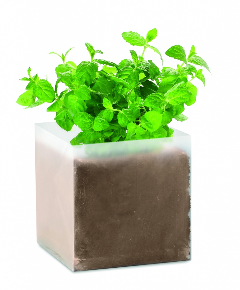 Logotrade advertising product image of: Compost with seeds "MINT"