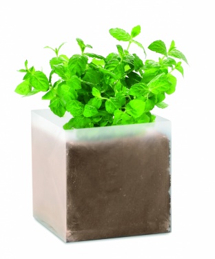 Logotrade corporate gift image of: Compost with seeds "MINT"