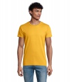 PIONEER MEN T-Shirt 175g, Gold