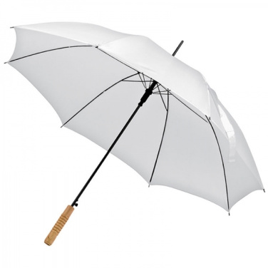 Logotrade promotional gift image of: Automatic walking-stick umbrella LE MANS