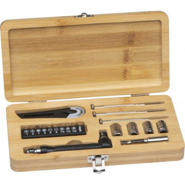 Logo trade advertising products image of: 22-piece tool set BERINGEN