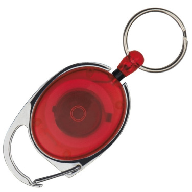 Logo trade promotional products picture of: Ski-Pass with Carabiner Keyring EMPLOYEE