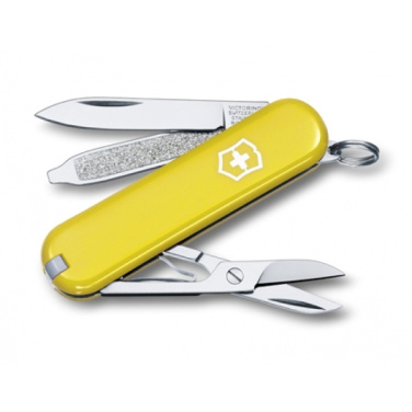 Logo trade corporate gifts picture of: Pocket knife CLASSIC SD Victorinox