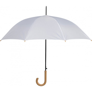 Logotrade promotional item image of: Automatic umbrella STOCKPORT