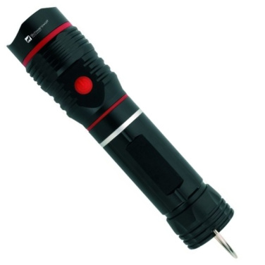 Logotrade promotional gift picture of: Flashlight BIWA Schwarzwolf