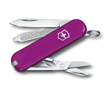 Logotrade promotional gifts photo of: Pocket knife CLASSIC SD Victorinox