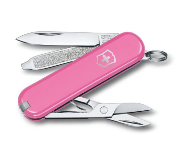 Logo trade corporate gifts image of: Pocket knife CLASSIC SD Victorinox